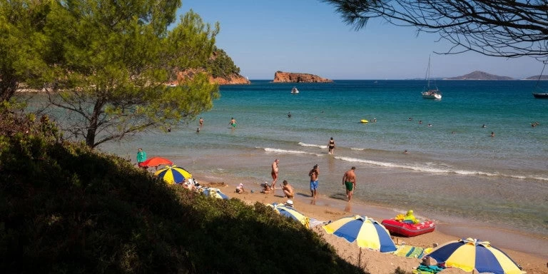 Οργανωμένες παραλίες: Τι πρέπει να ξέρετε